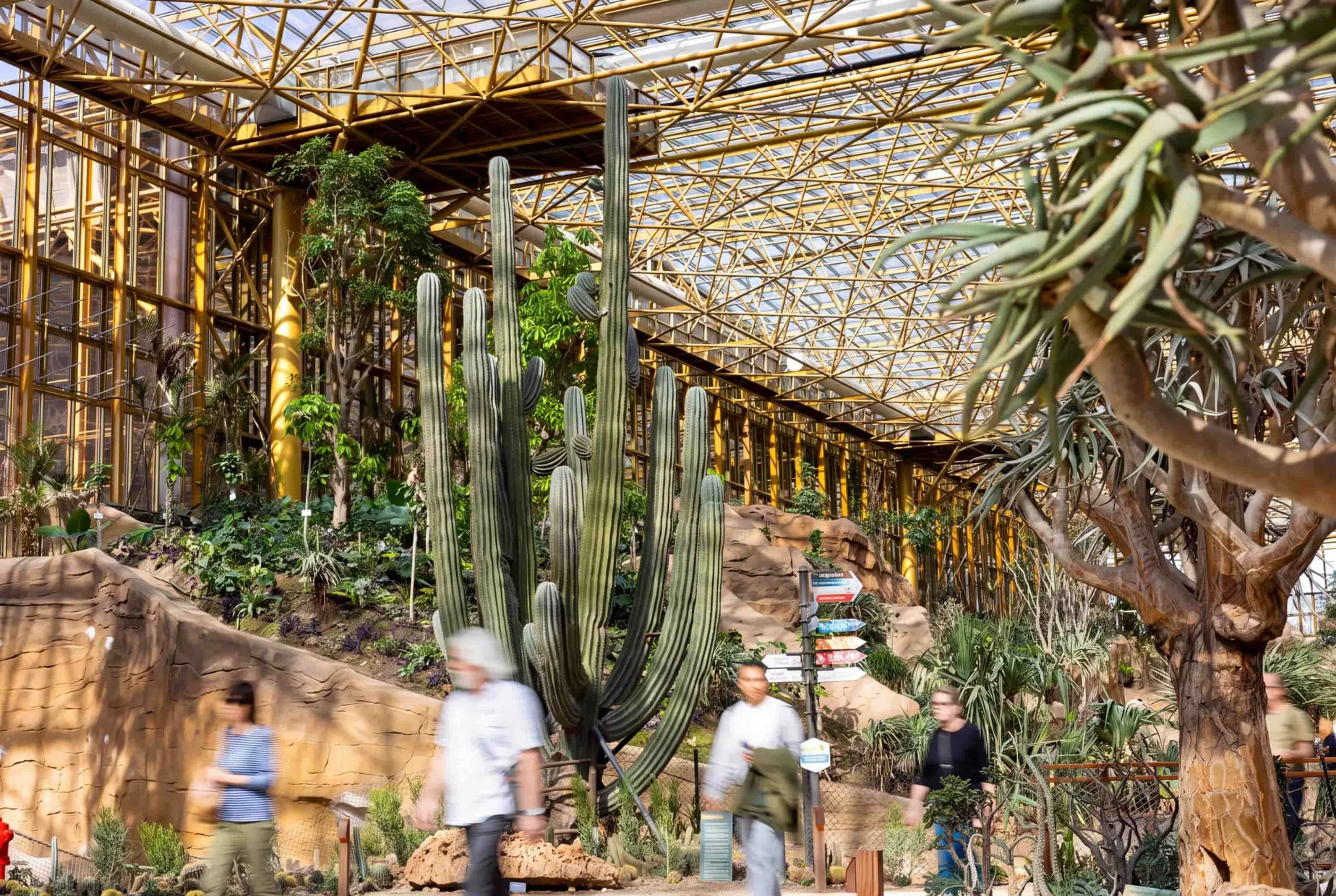 project_logistics_edenya_cactus_banner